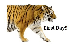 First Day Tiger