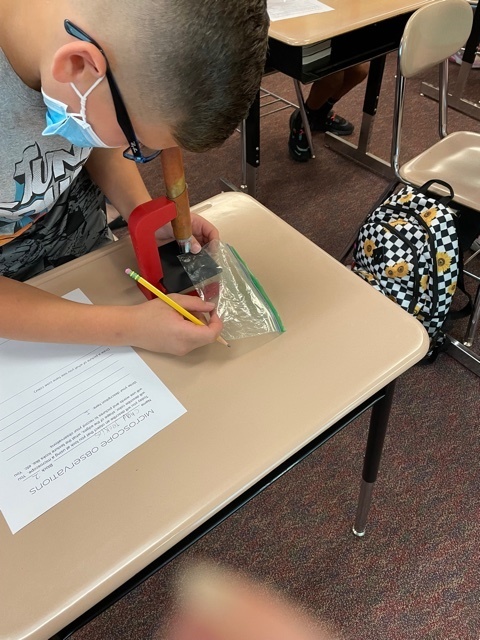student looking into microscope