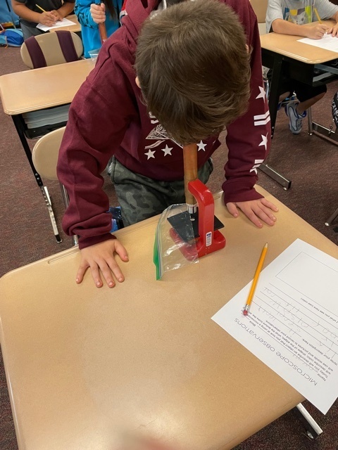 student looking into microscope