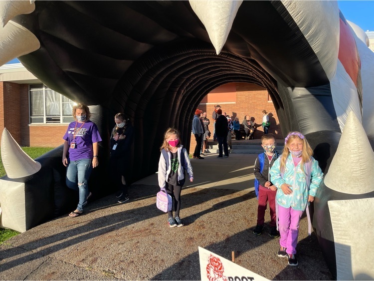 Tiger tunnel