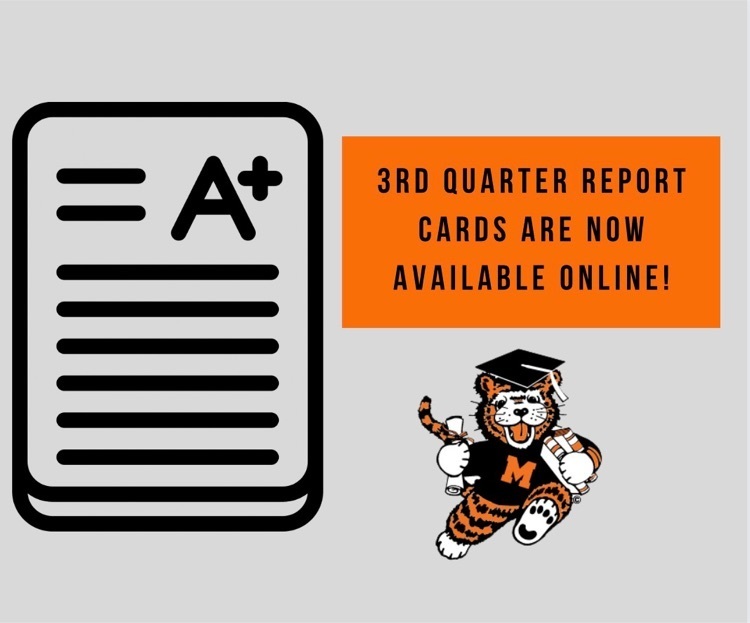 report cards graphic